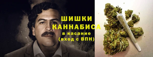 прущие грибы Волоколамск