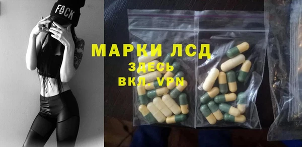 прущие грибы Волоколамск