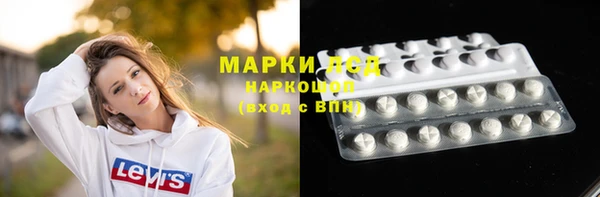 прущие грибы Волоколамск