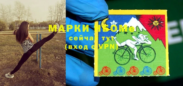 spice Володарск