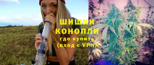 прущие грибы Волоколамск