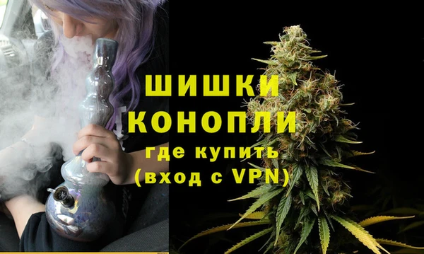 прущие грибы Волоколамск