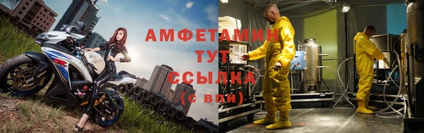 прущие грибы Волоколамск