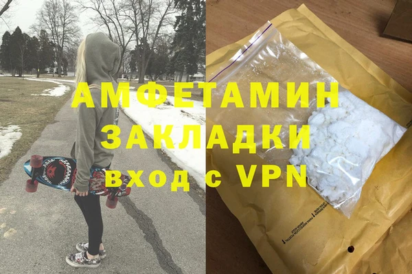 прущие грибы Волоколамск