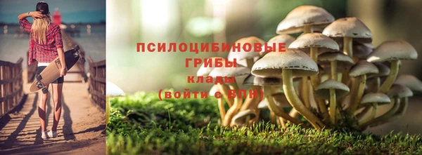 spice Володарск