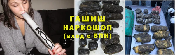 прущие грибы Волоколамск
