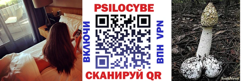 Галлюциногенные грибы Psilocybine cubensis  где купить наркотик  Ильский 